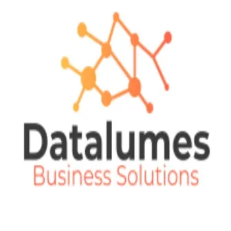 Datalumes Business Solutions Company Profile, information, investors ...