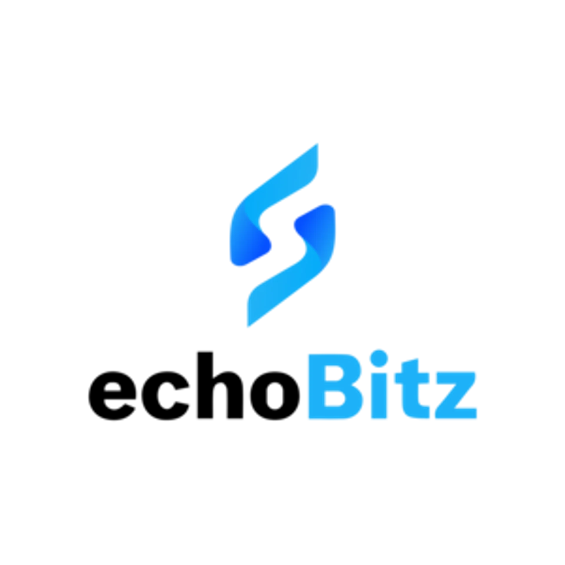 echoBitz IT Solutions Private Limited