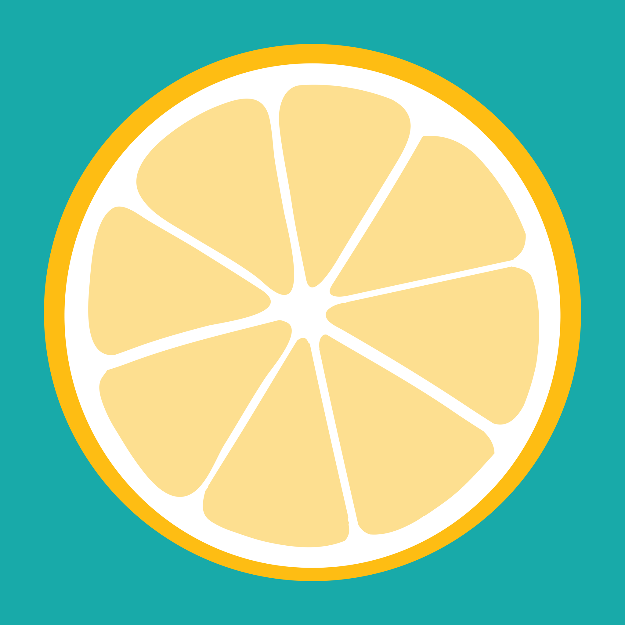 freshOk Company Profile Funding & Investors