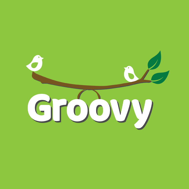 Groovy Juices YourStory