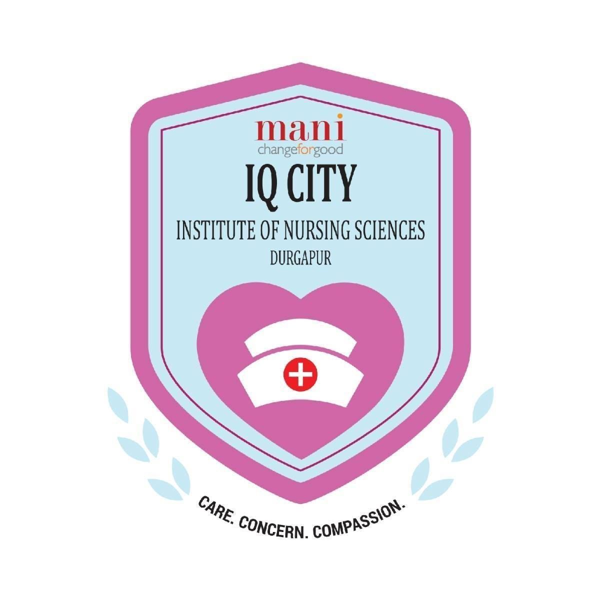 IQ City Institute of Nursing Sciences logo