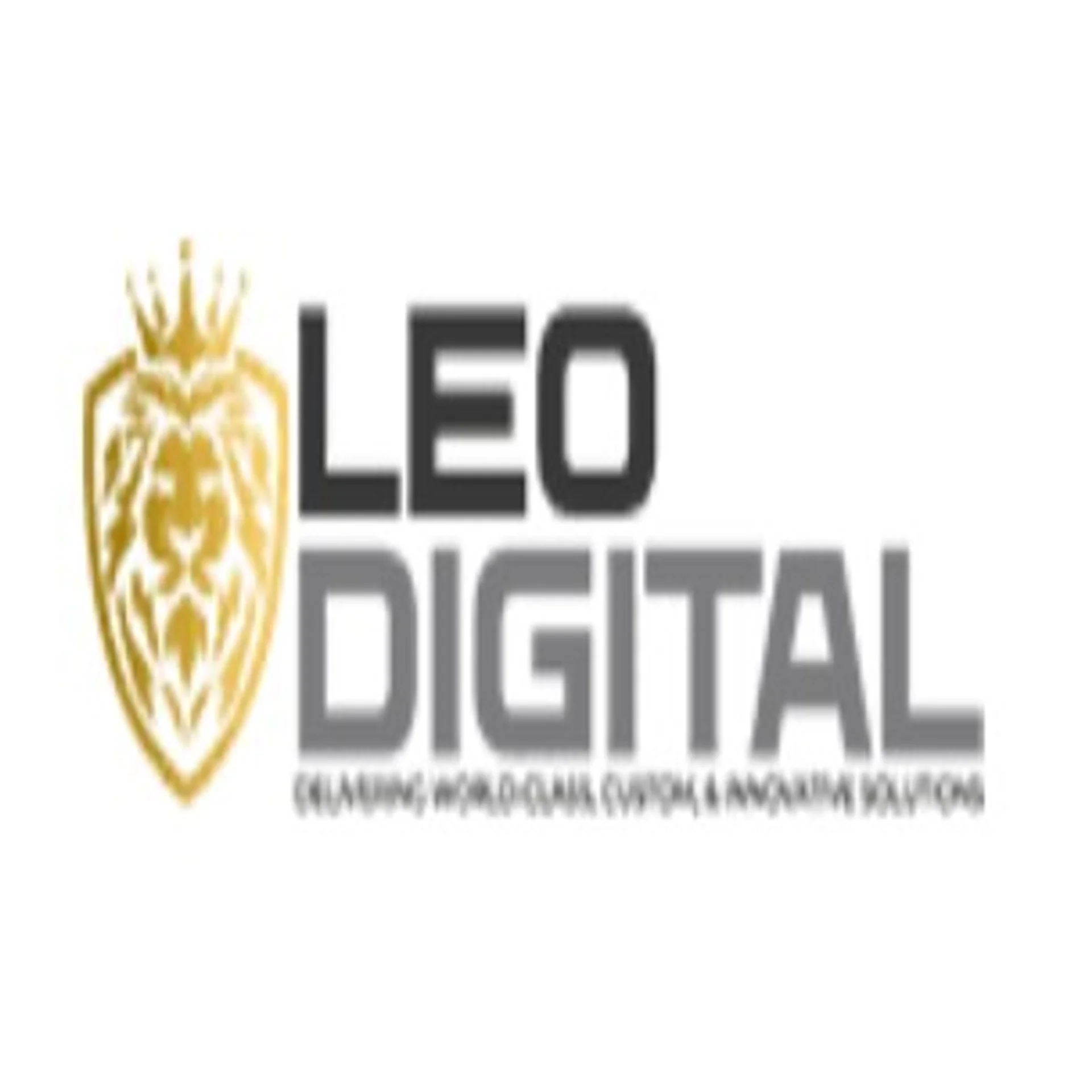 LEO DIGITAL AGENCY