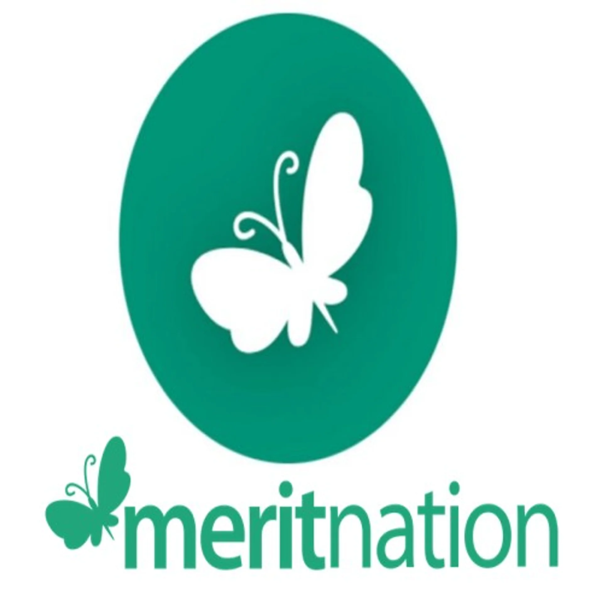Meritnation