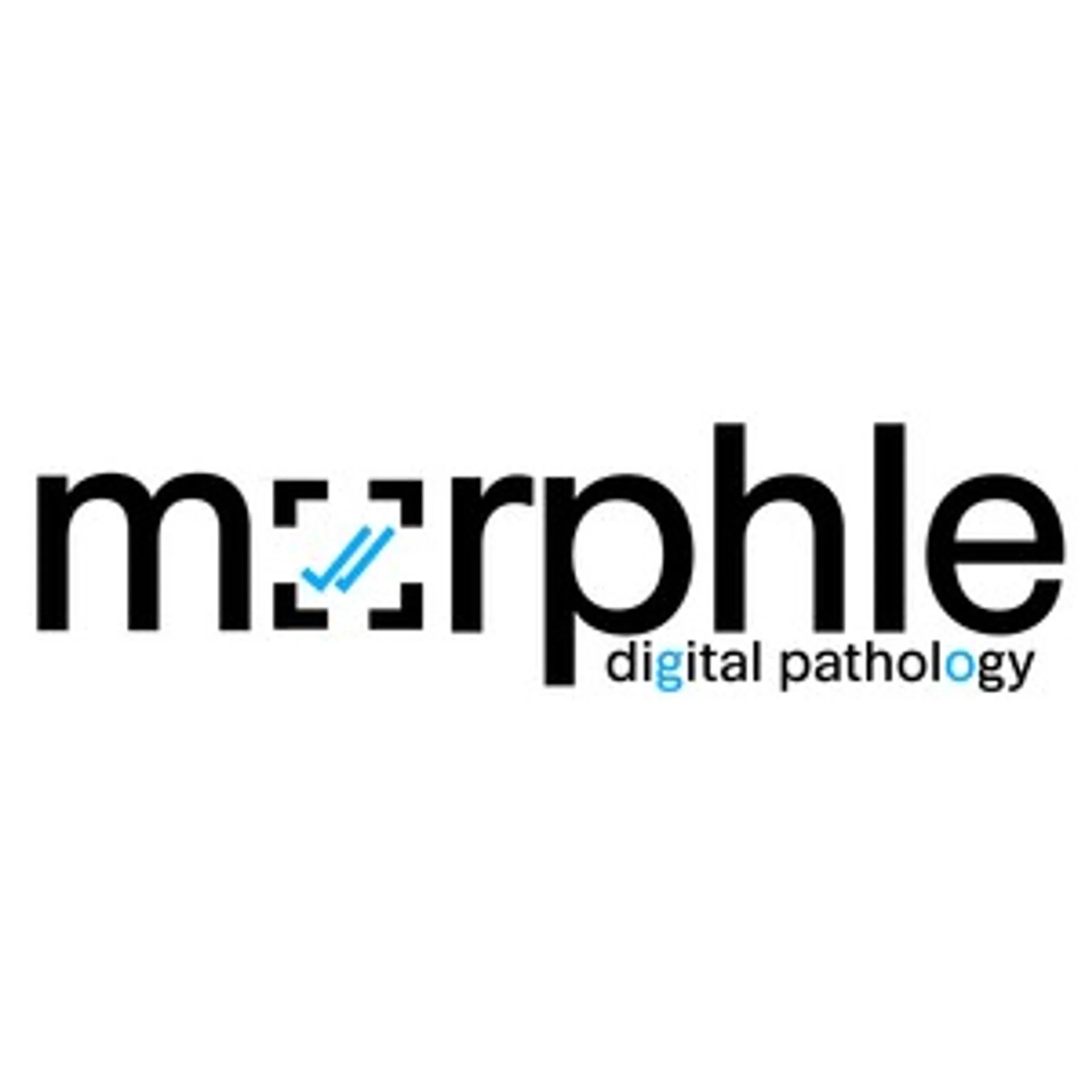 Morphle Labs