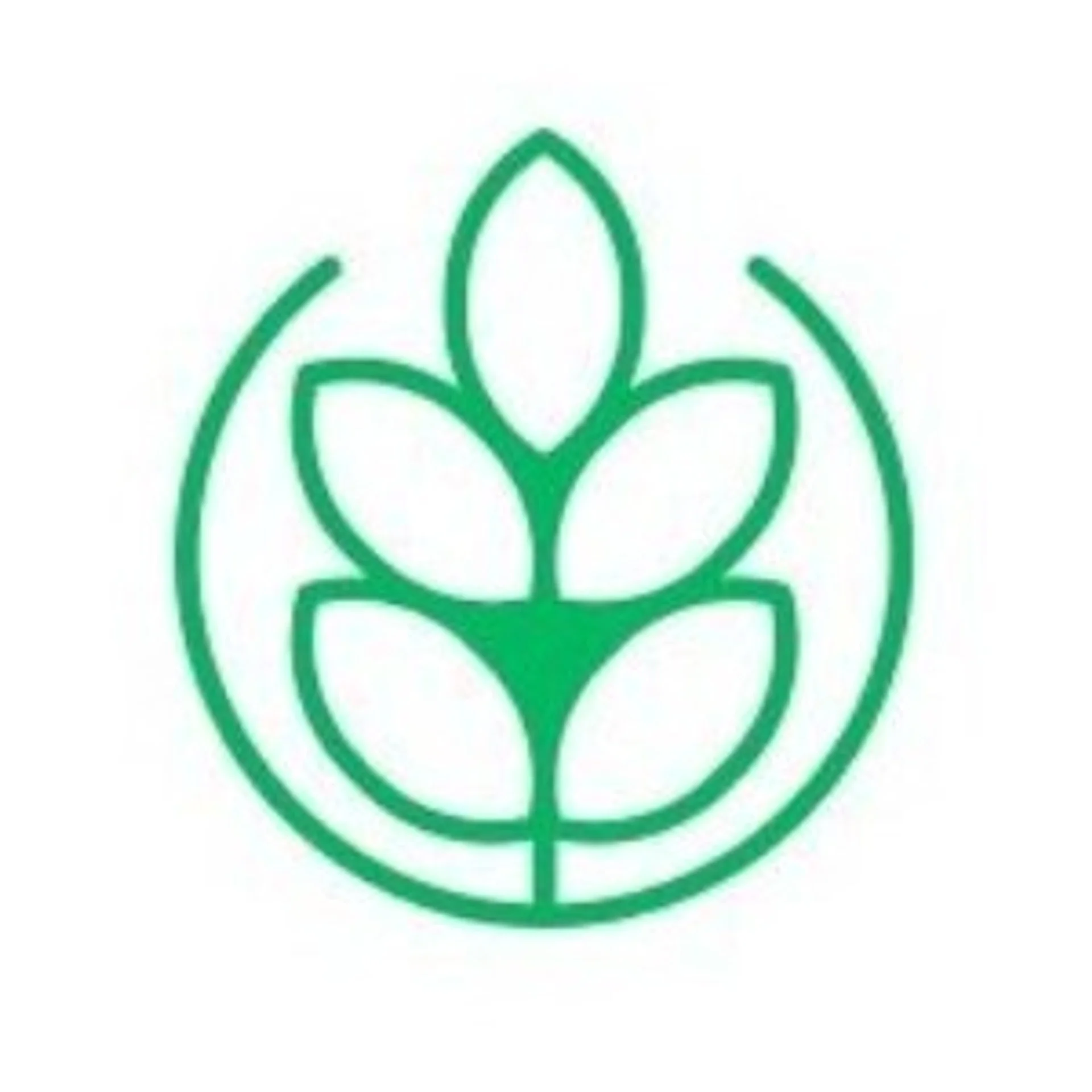 Mye Farm