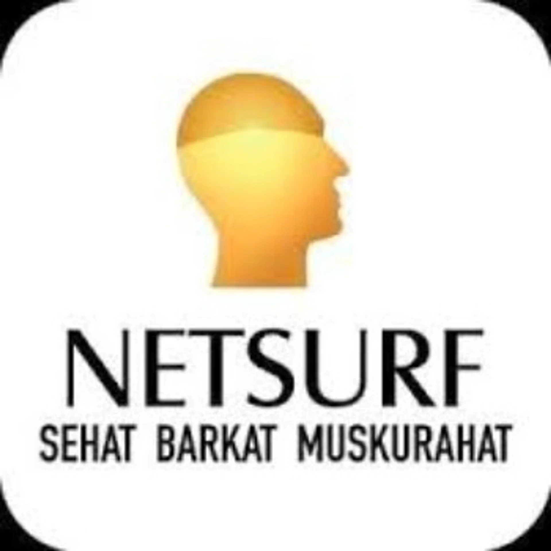 Netsurf
