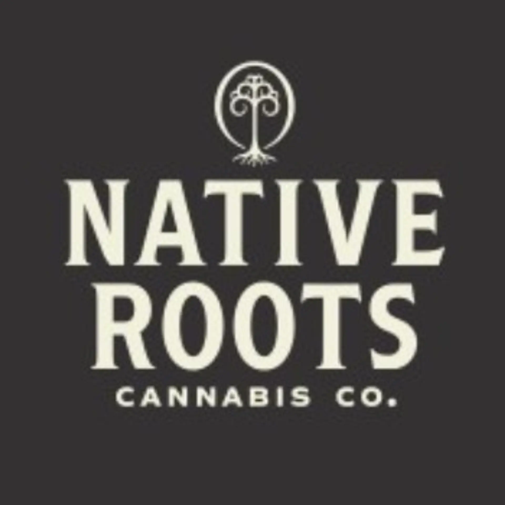 Native Roots Company Profile Funding & Investors | YourStory