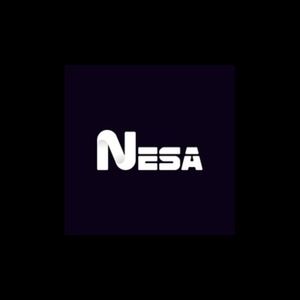 NESA Software Pvt Ltd logo