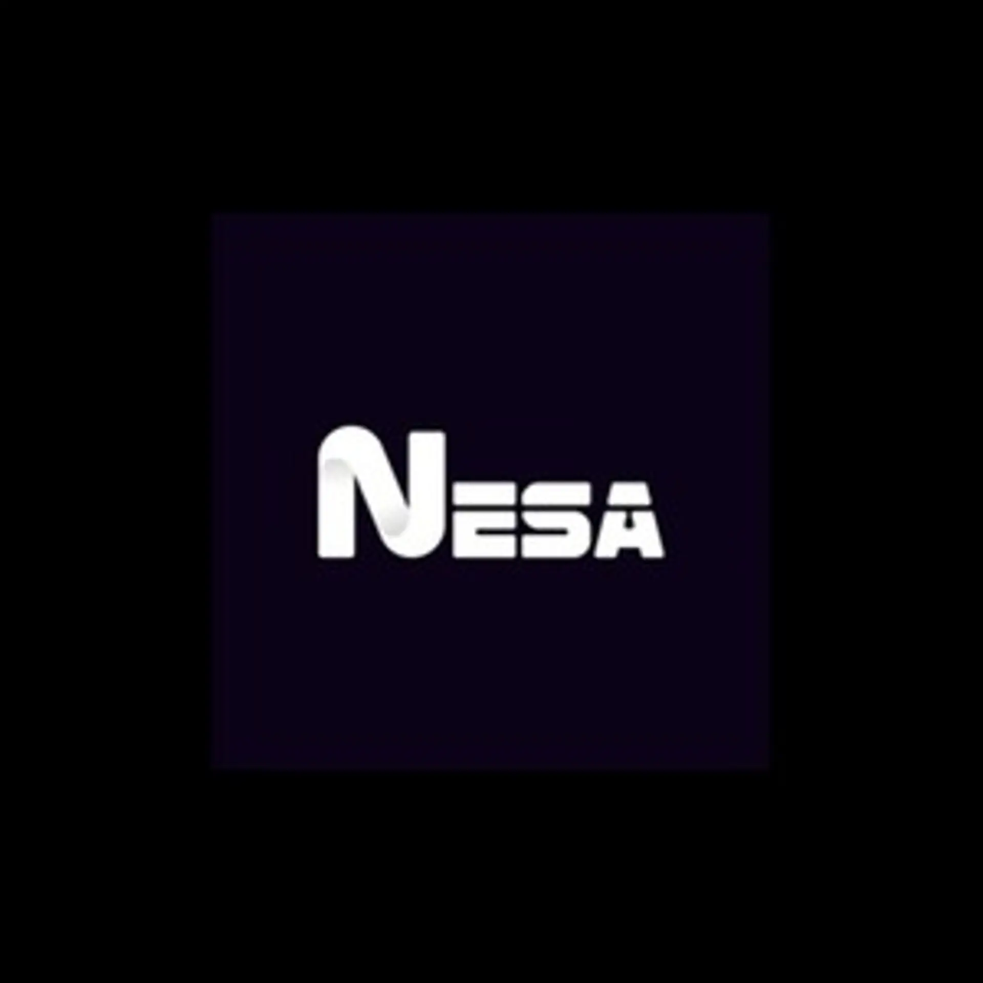 NESA Software Pvt Ltd