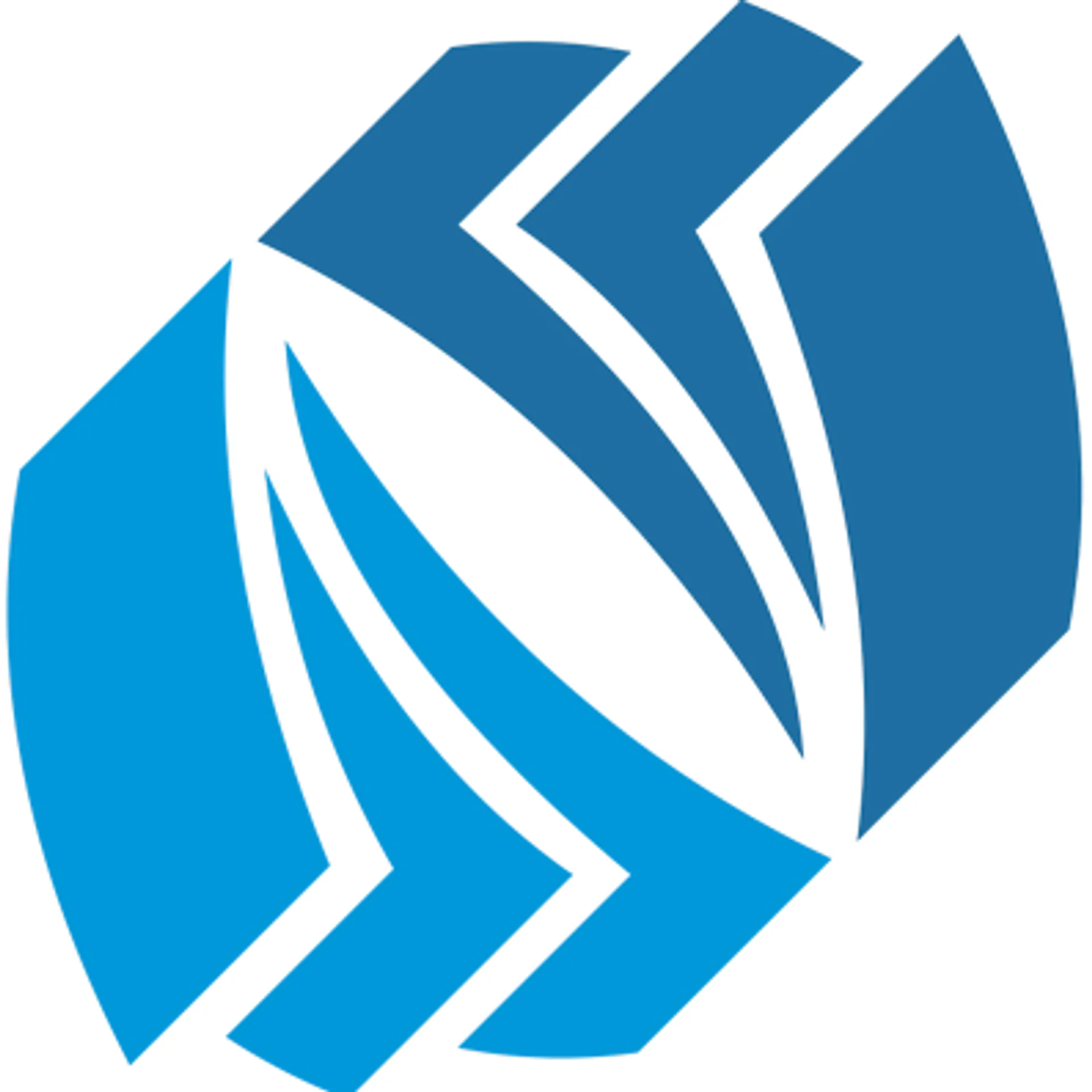 Nexus Consulting