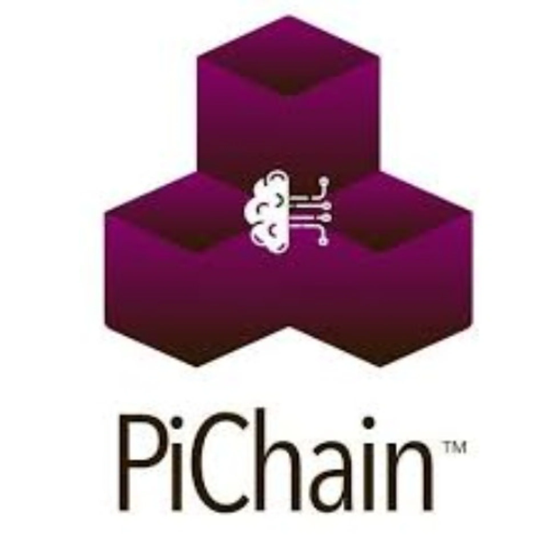 PiChain