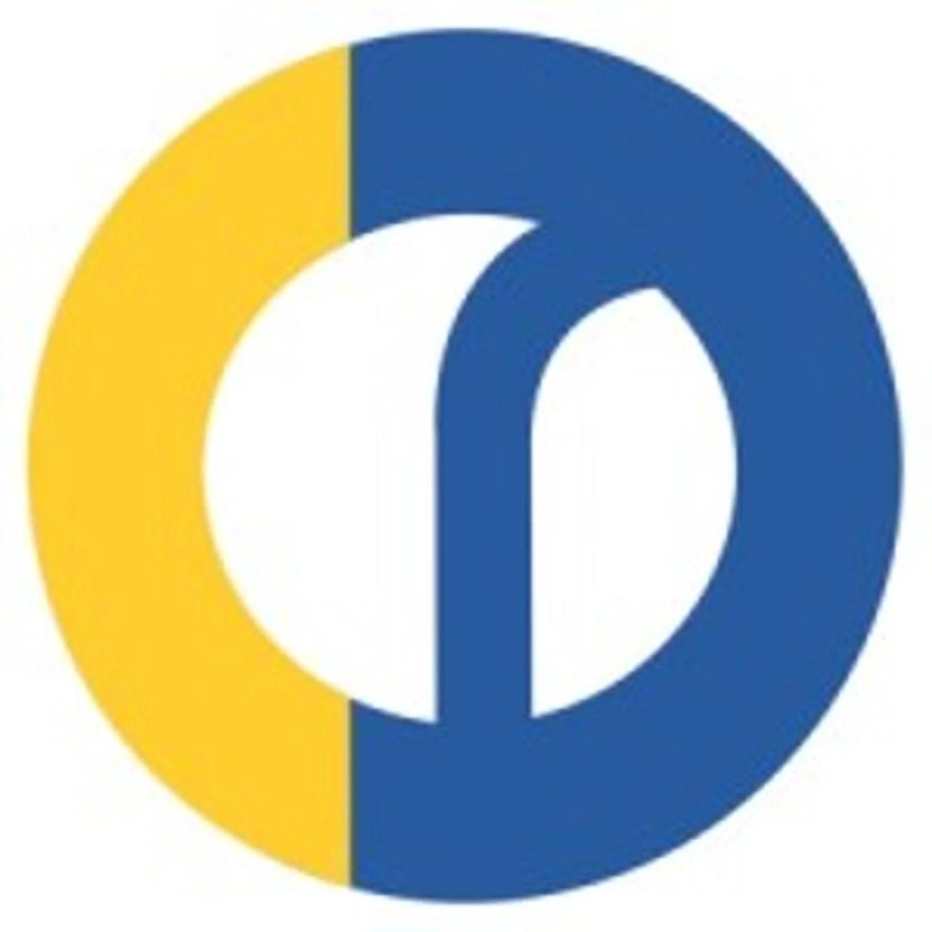 Runtime Software
