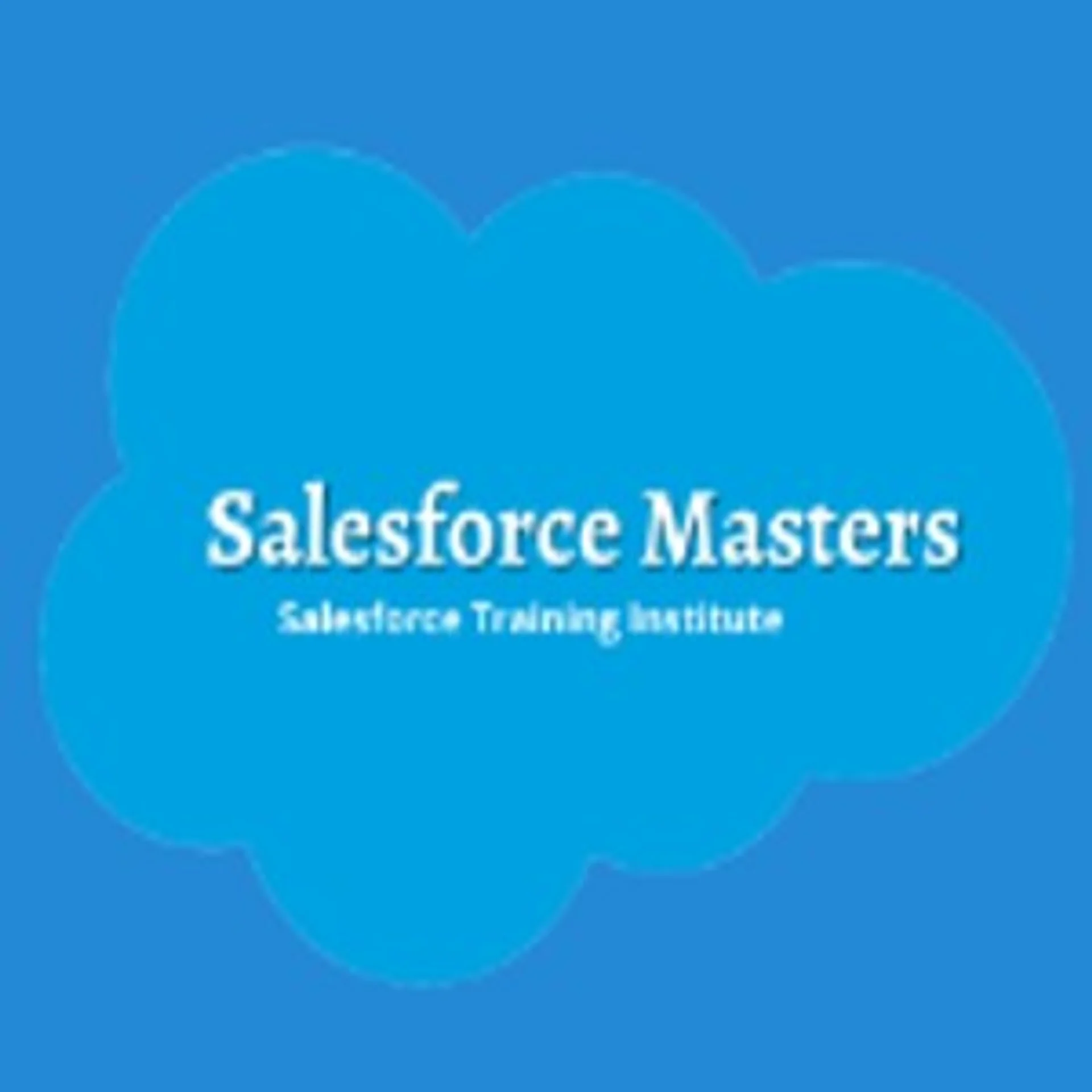 Salesforce Masters