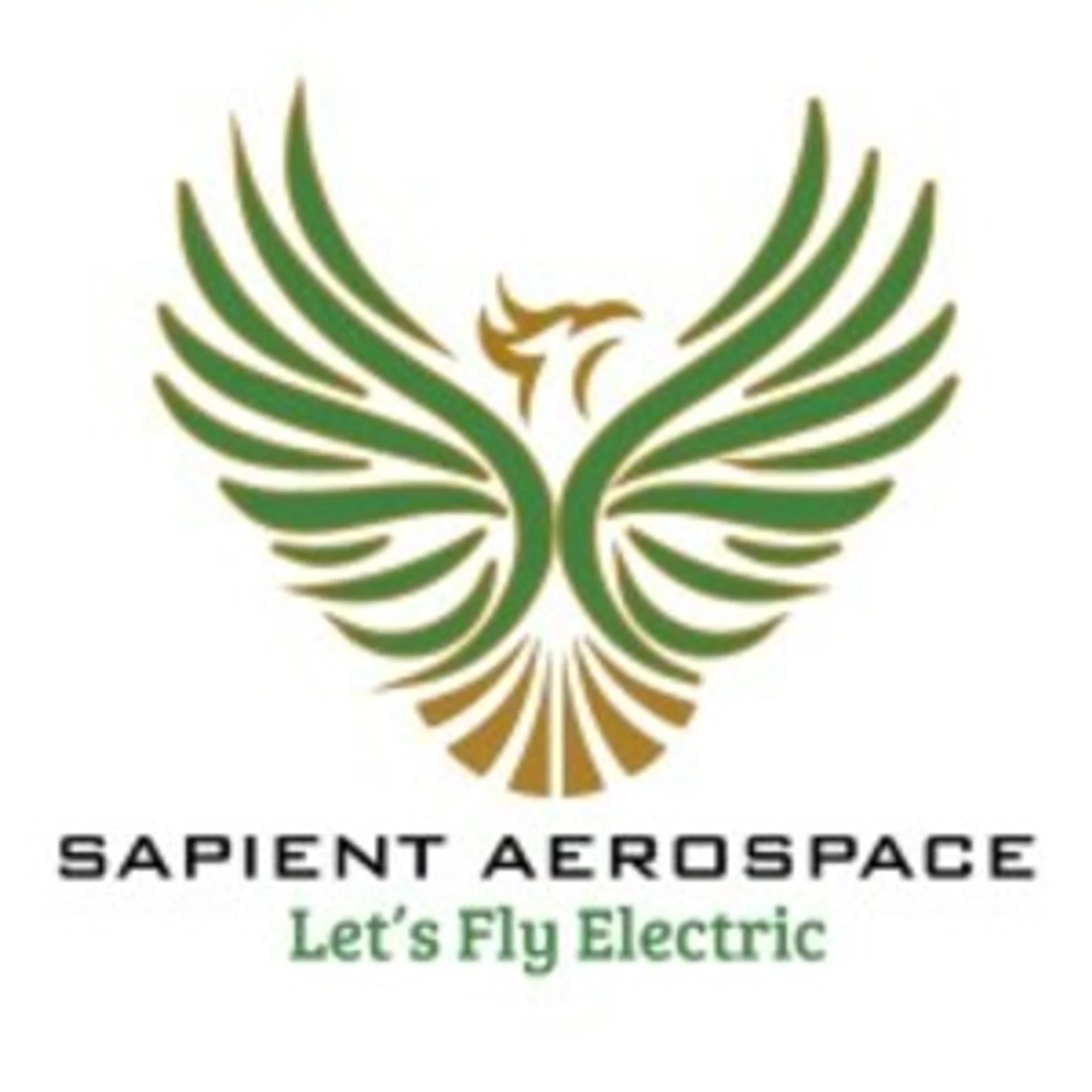 Sapient Aerospace