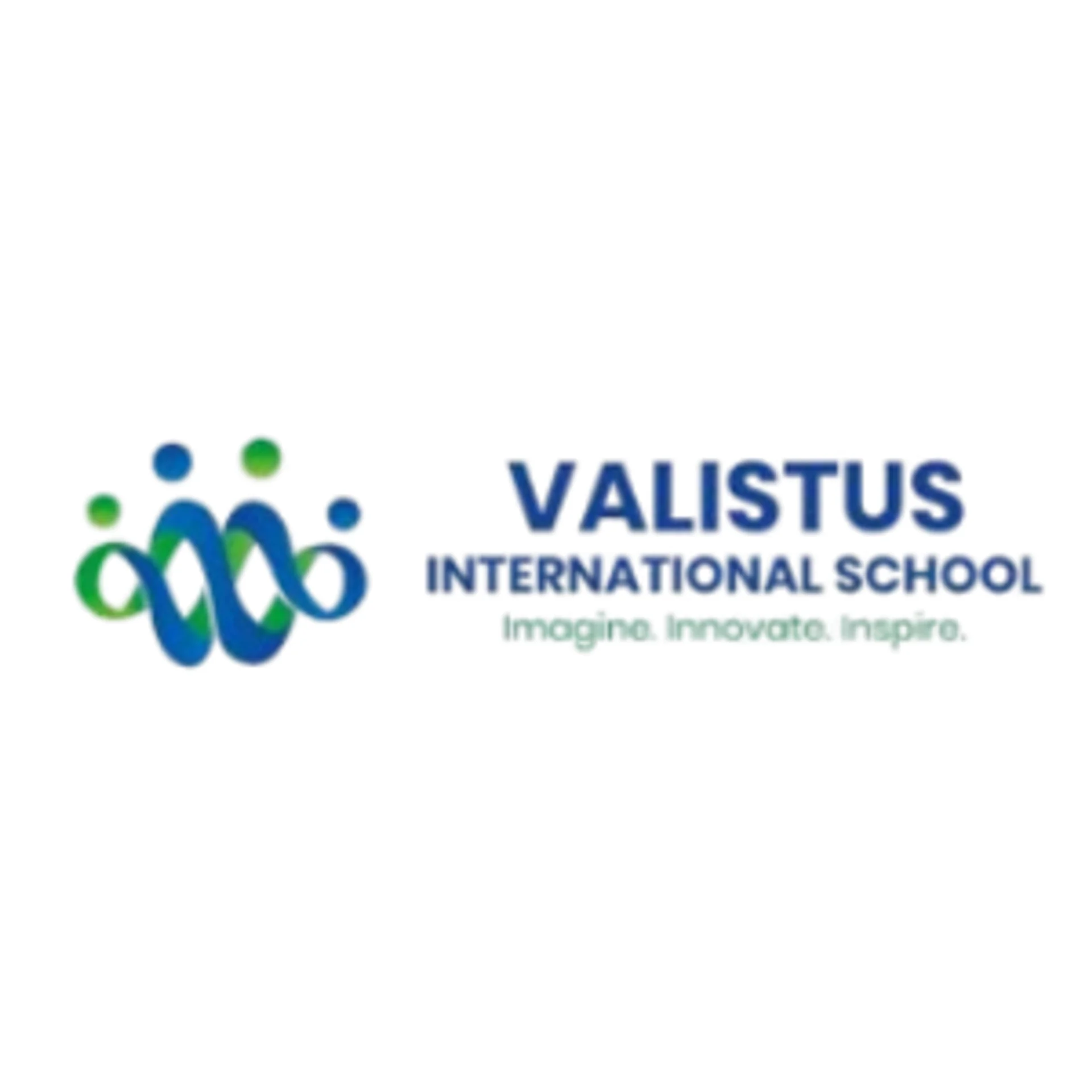 Valistus International School