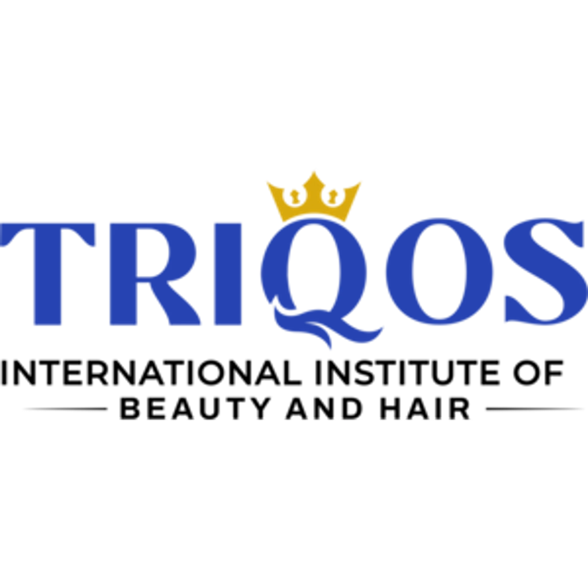 TRIQOS INTERNATIONAL INSTITUTE