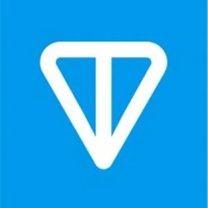 The Open Network Company Profile, information, investors, valuation