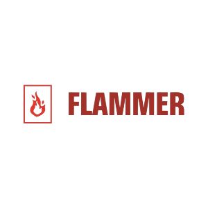 Flammer Technologies logo