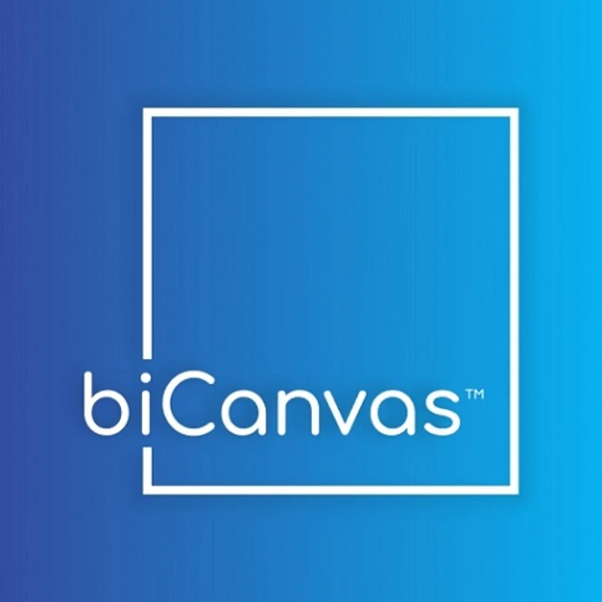 biCanvas ERP Software