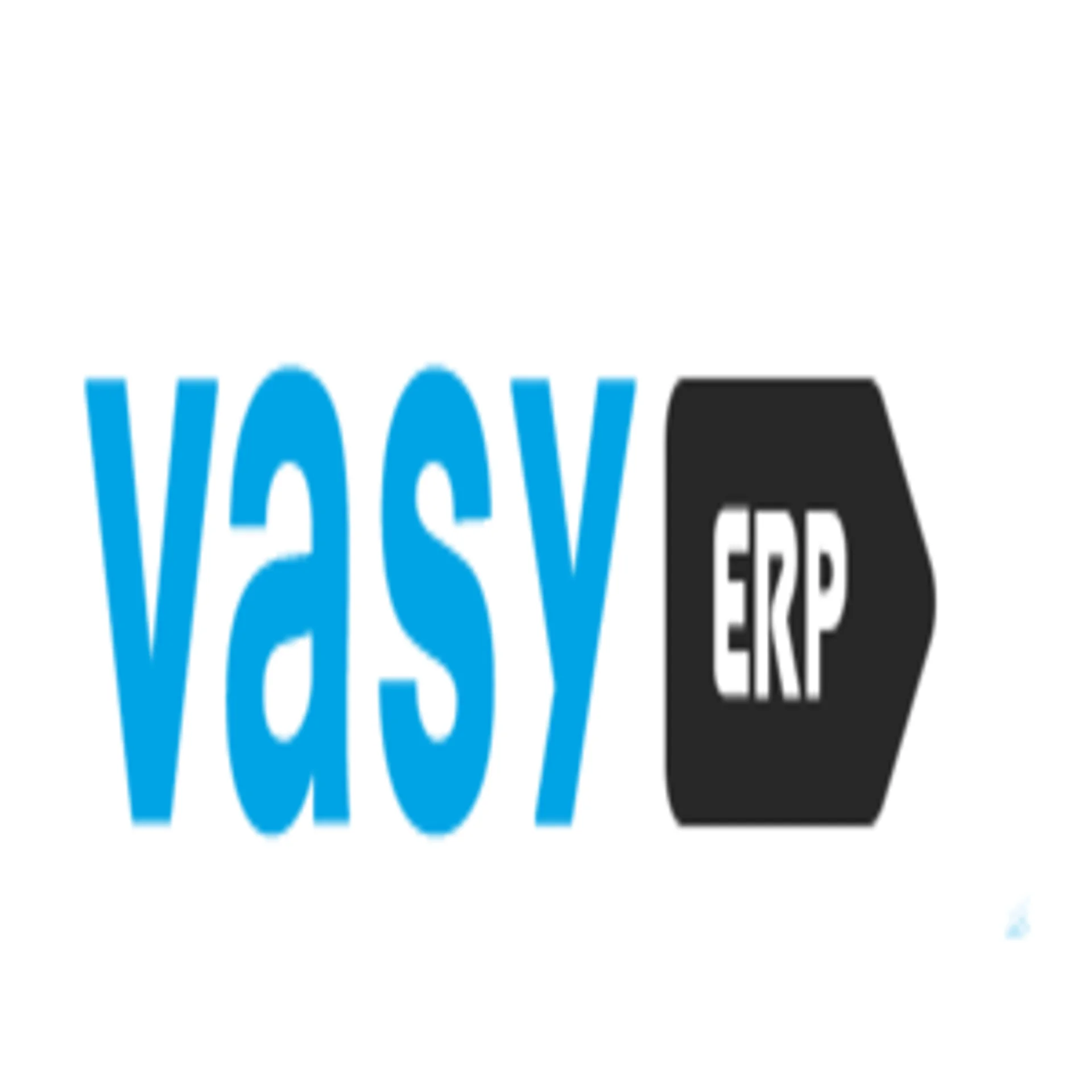 VasyERP