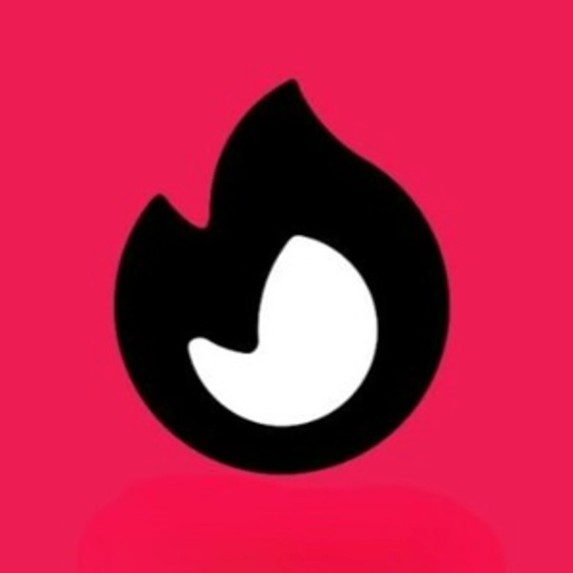 Vibuddy Network