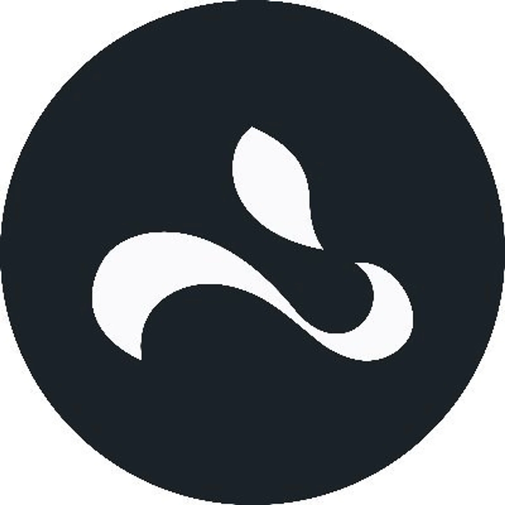 Whiterabbit