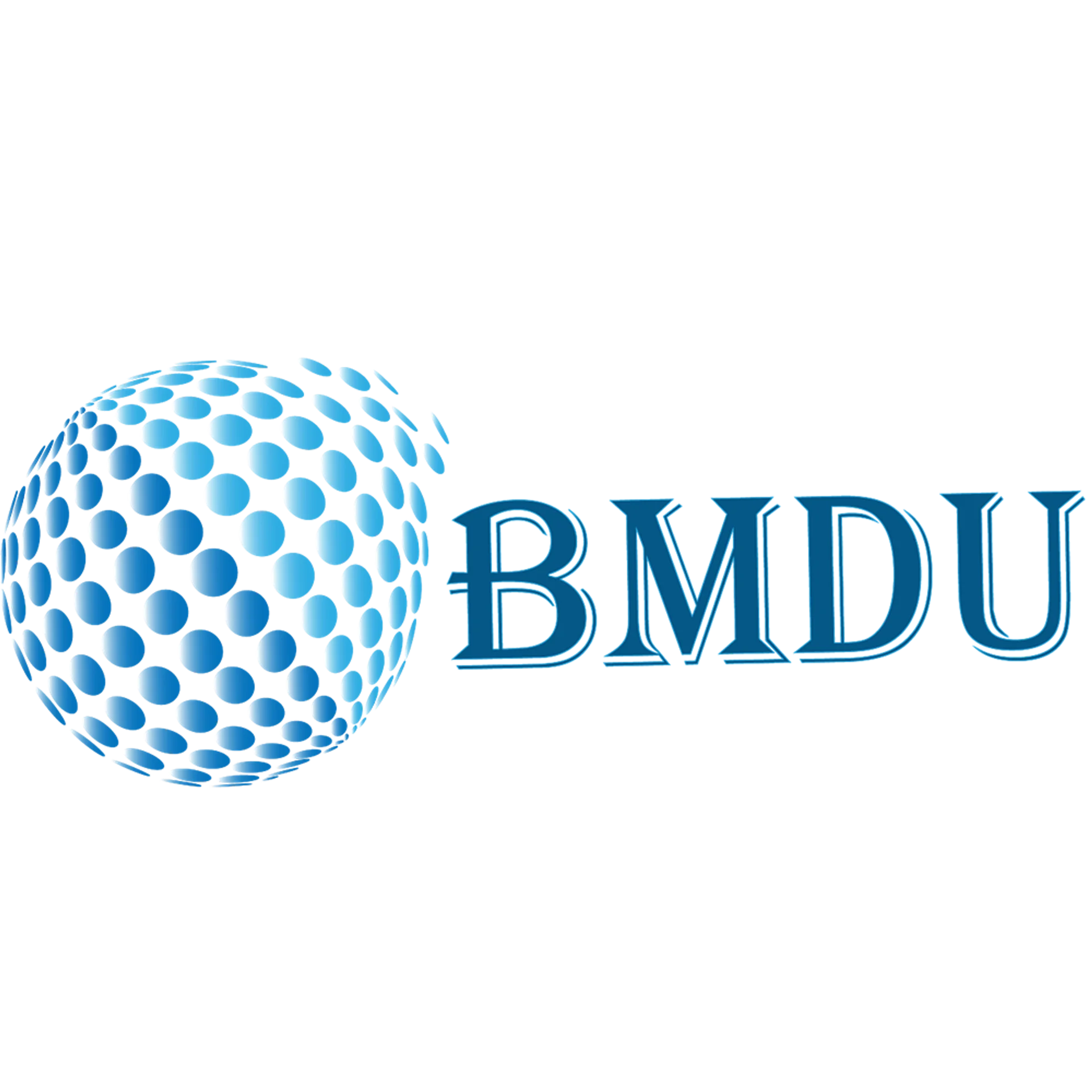 BM Digital Utilization