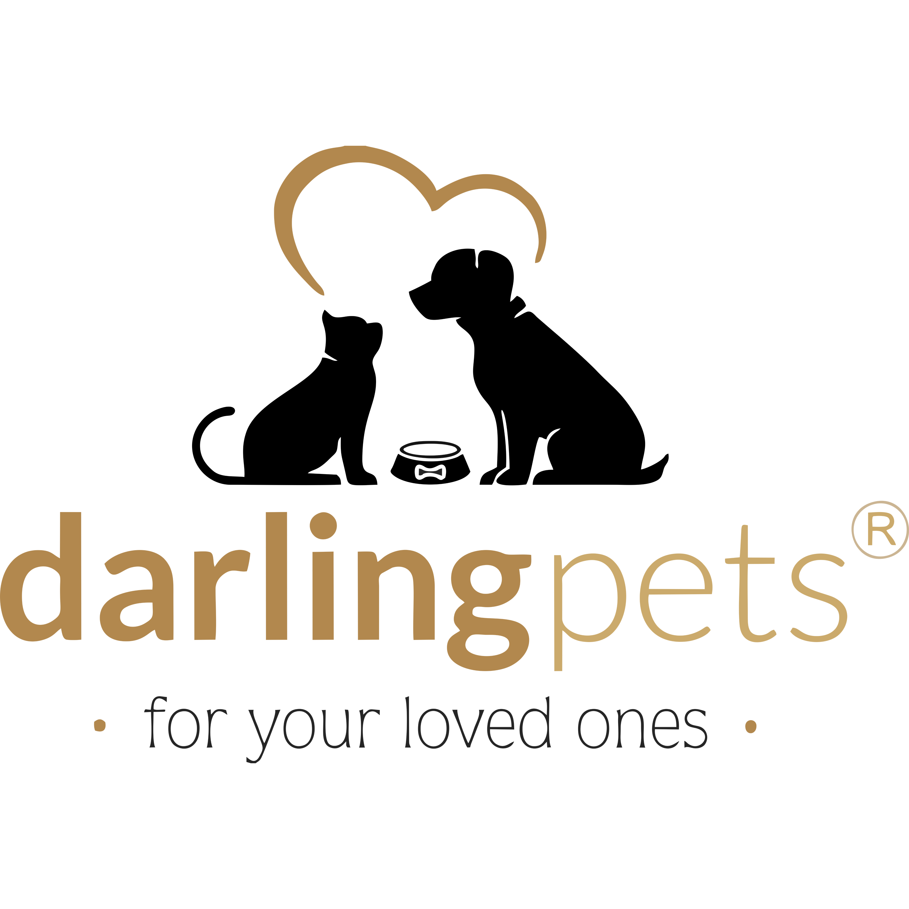 Darling Consulting Group Profile