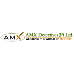 Amx Detectives logo