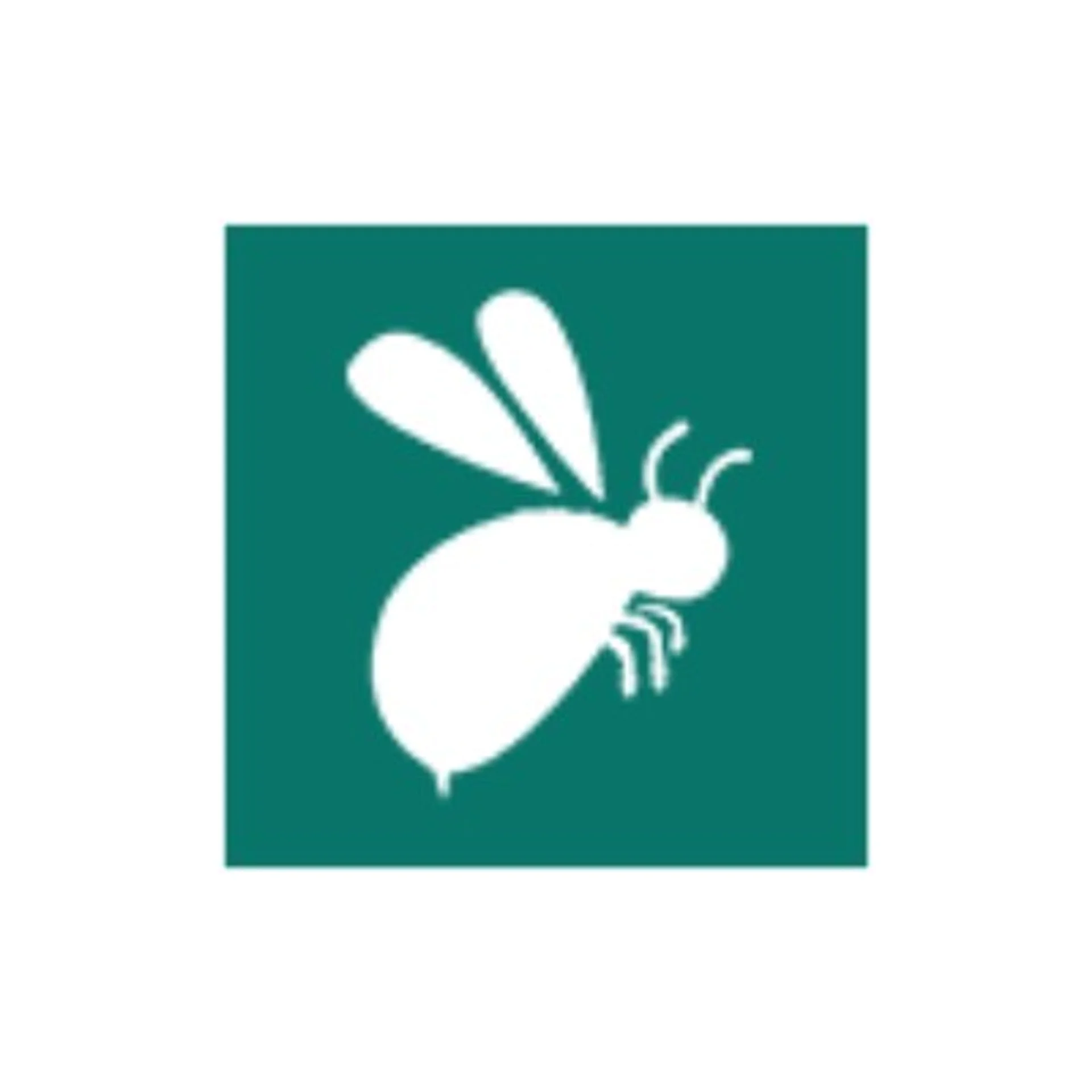 Report Bee