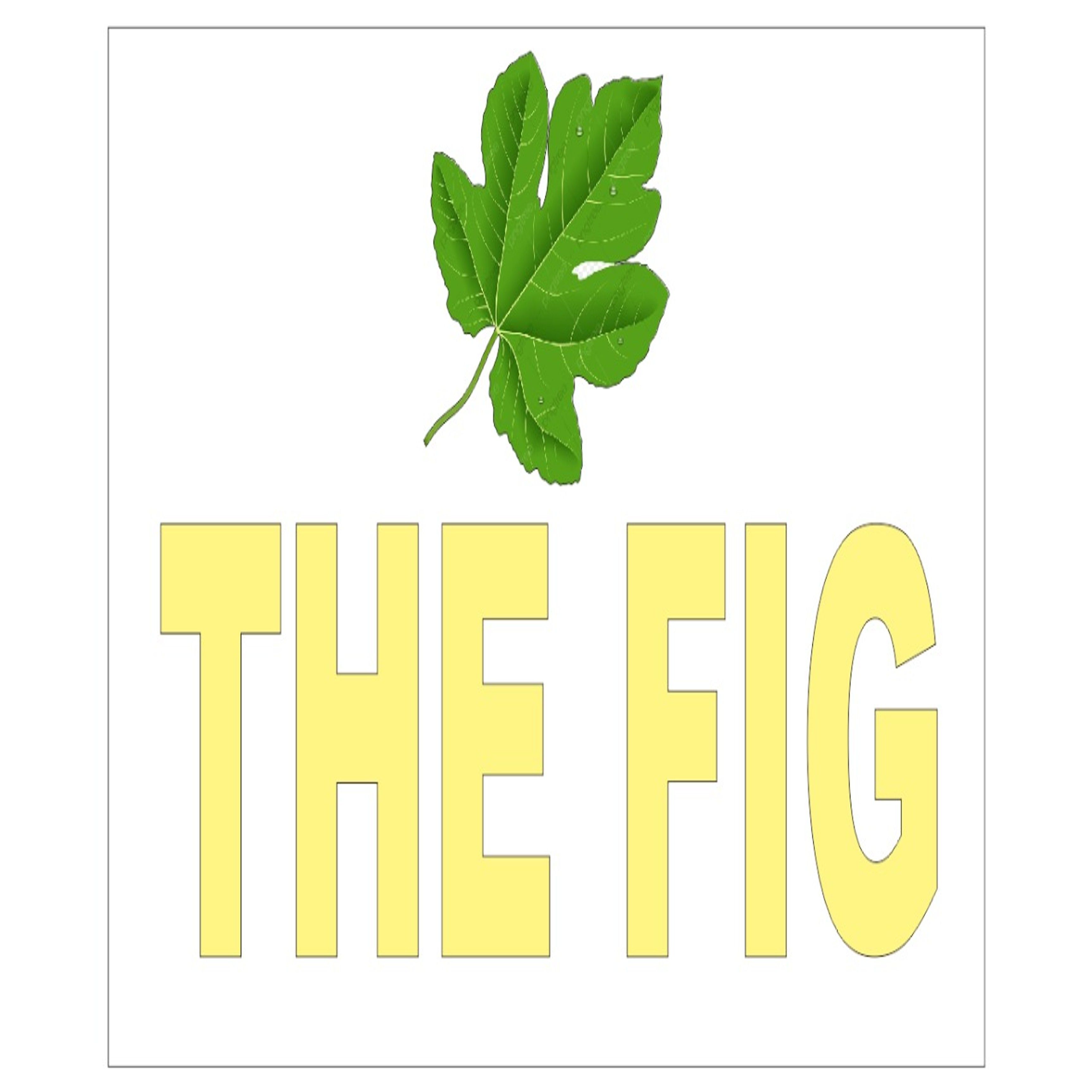 The Fig Company Profile, information, investors, valuation & Funding