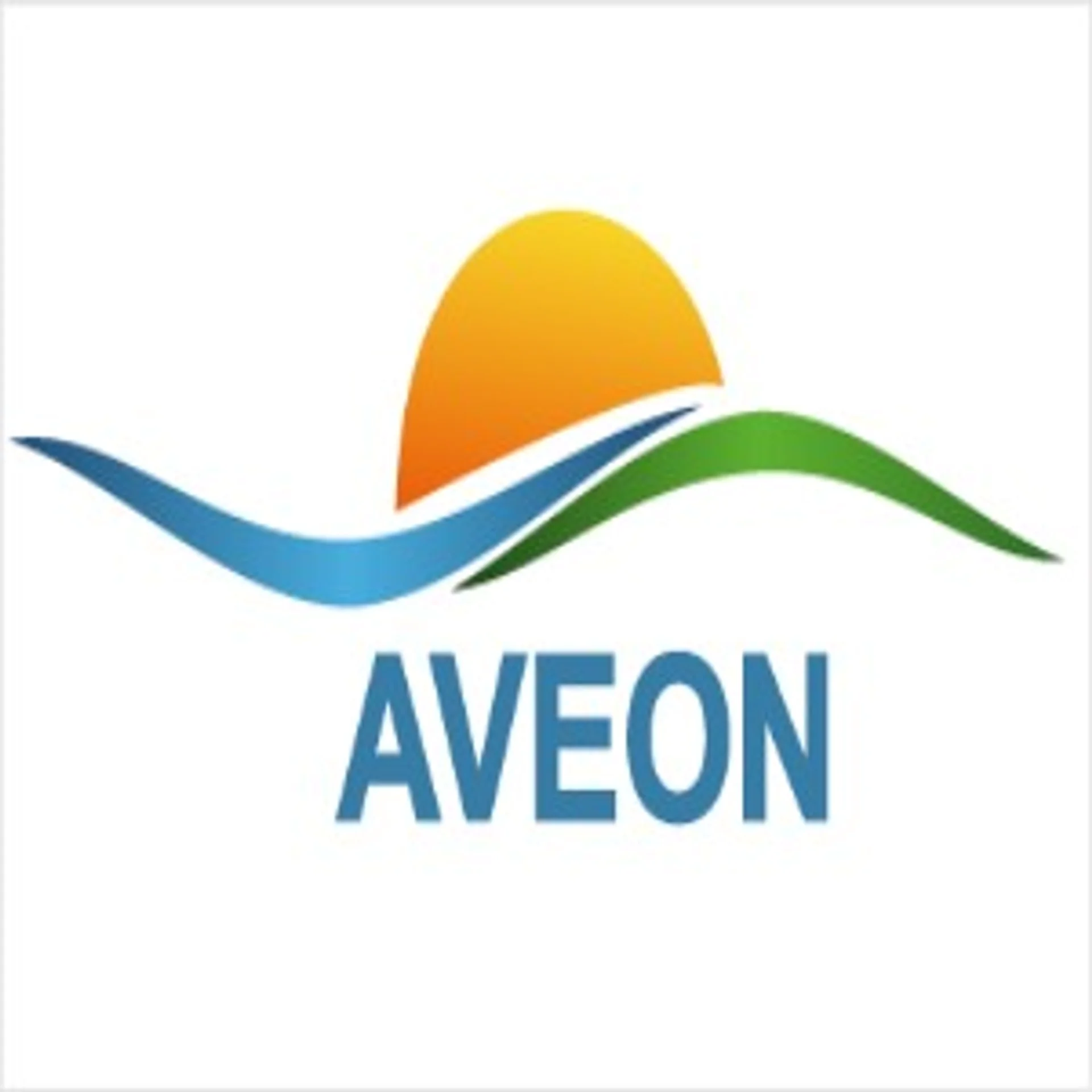 Aveon Infotech