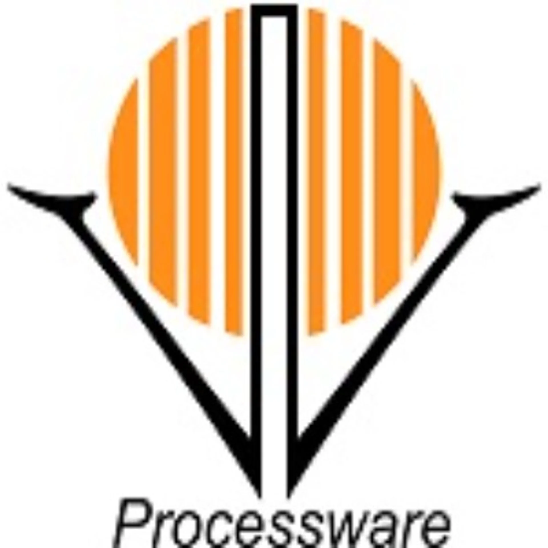 Processware Systems