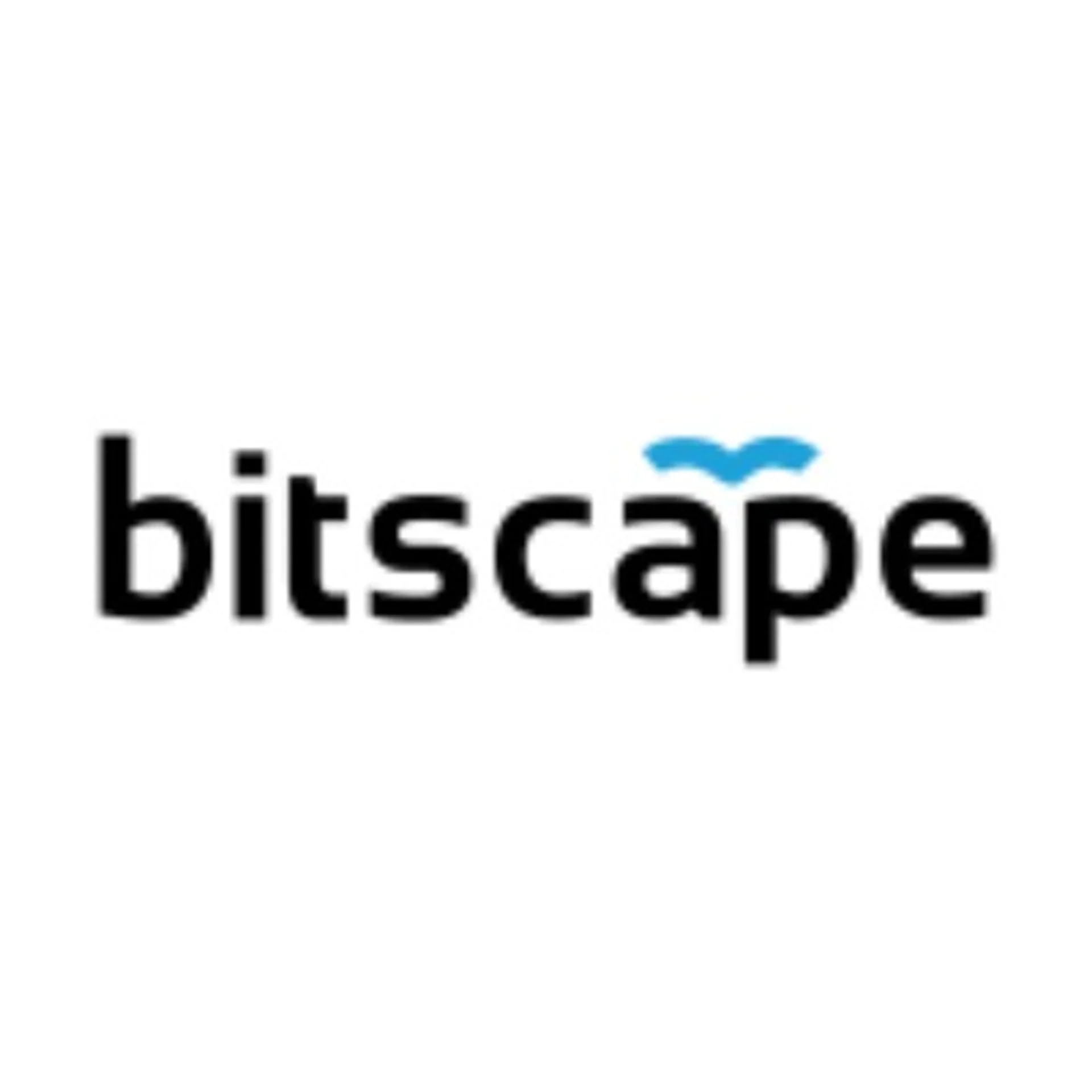 Bitscape