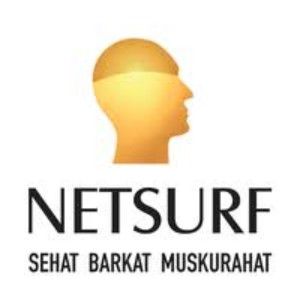 NETSURF NETWORK