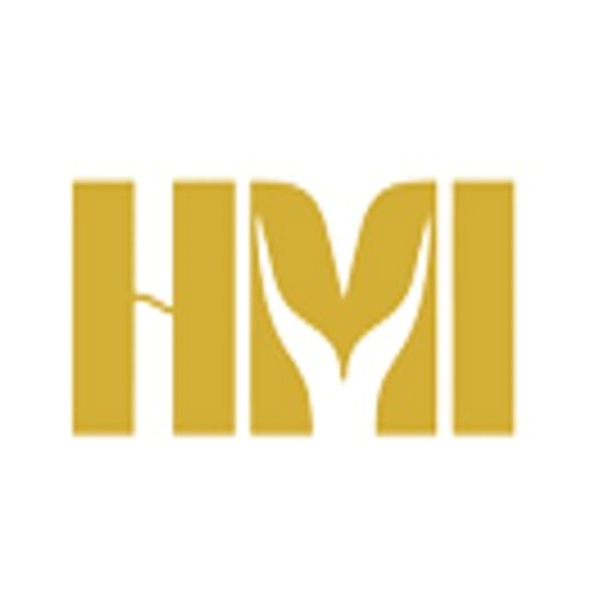 Hans Metal India