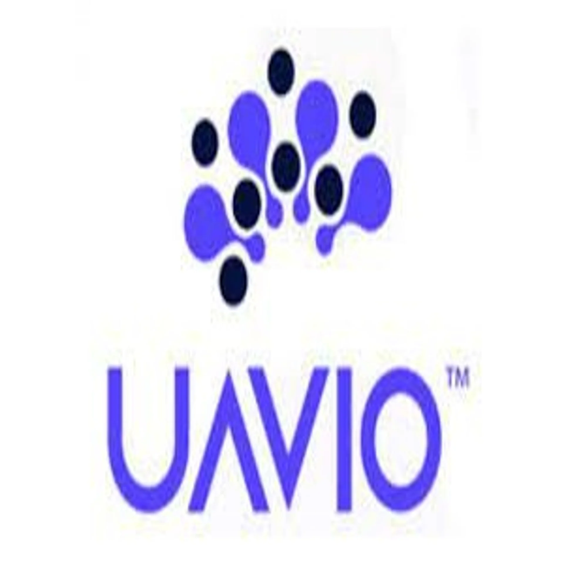 UAVIO