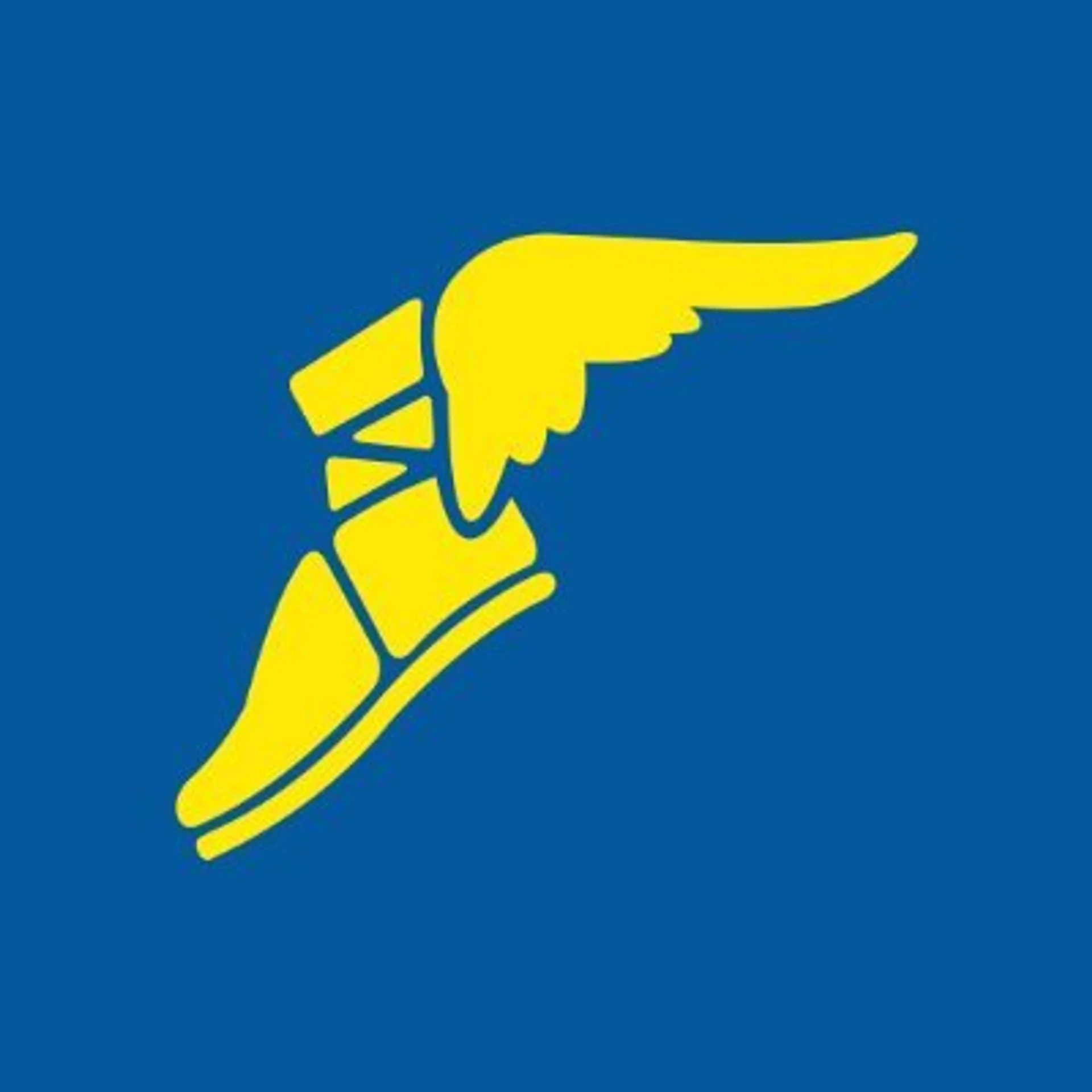 Goodyear India