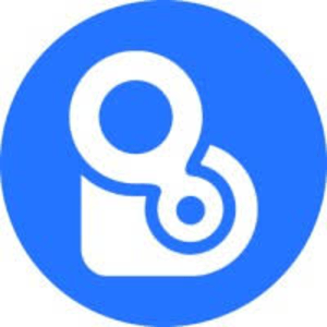 BTO Themes logo
