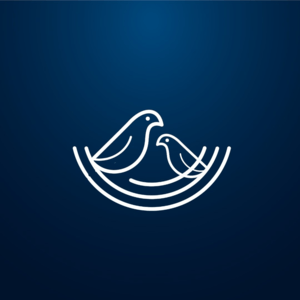 Nest Software Private Ltd