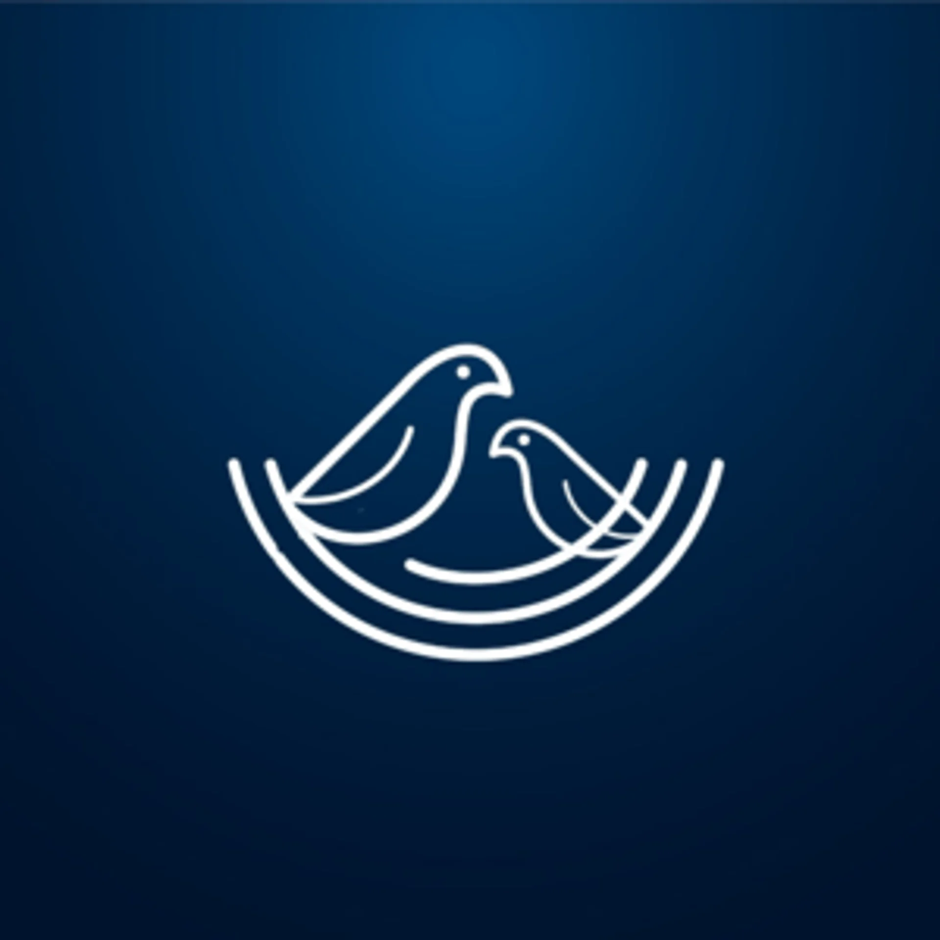 Nest Software Private Ltd