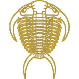 FossilEra