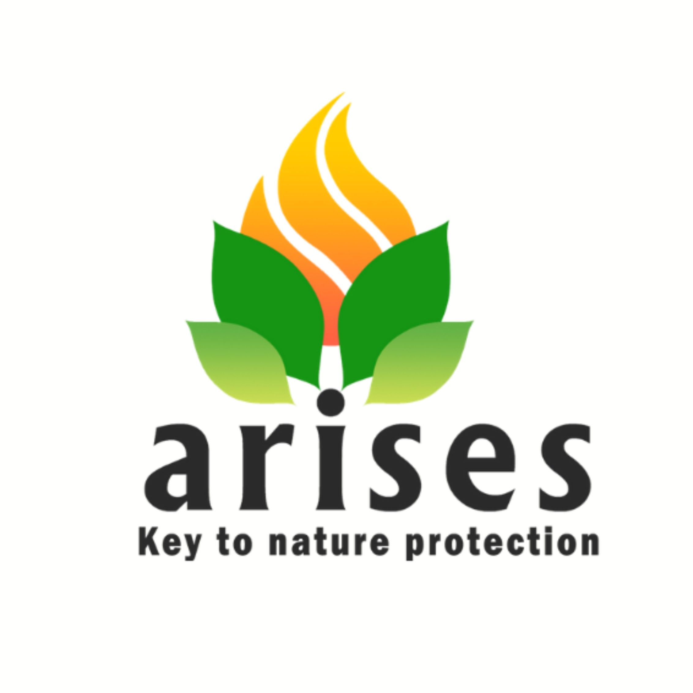 KNP Arises