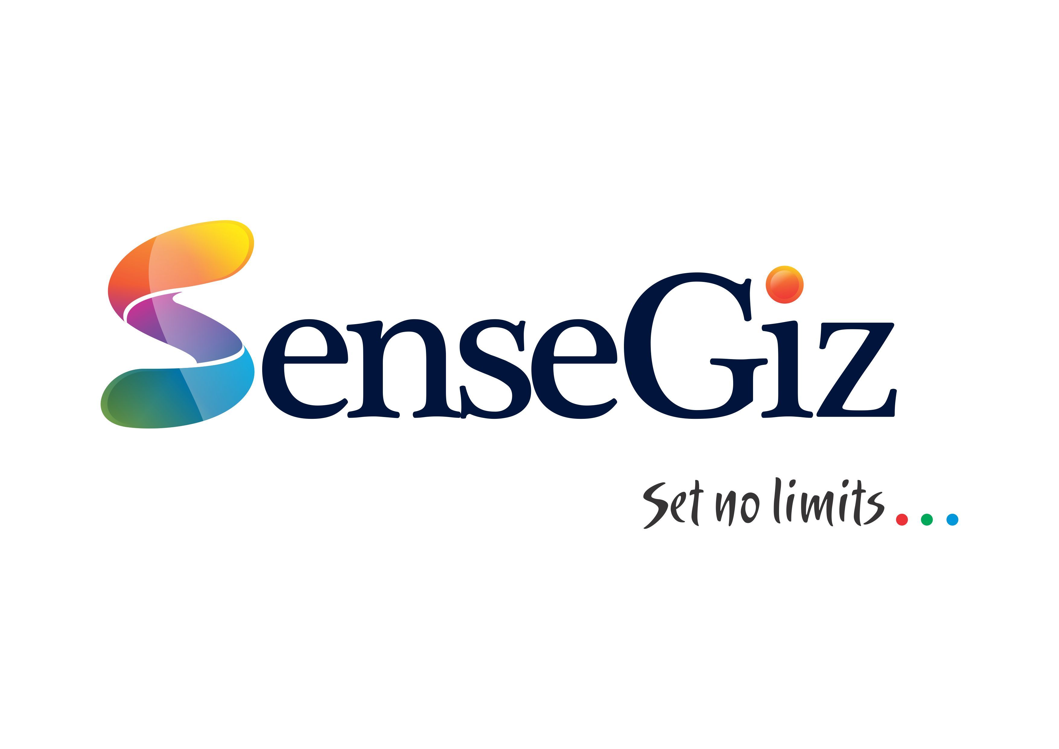 SenseGiz