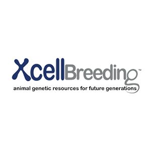 Xcell Breeding & Livestock Services Private Limited | YourStory