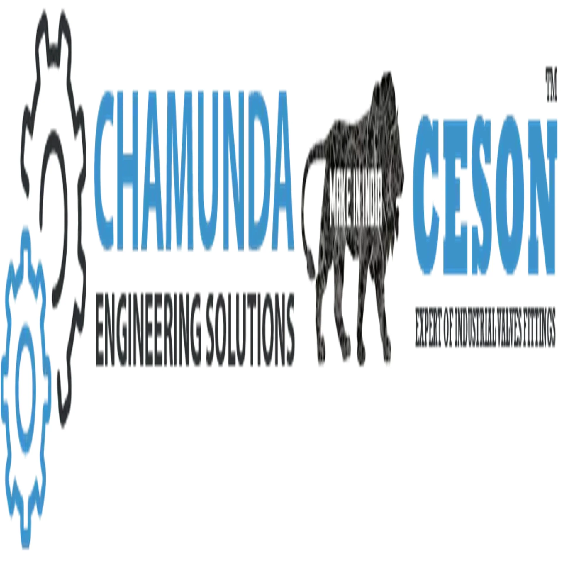 Chamunda Engineering Solutions