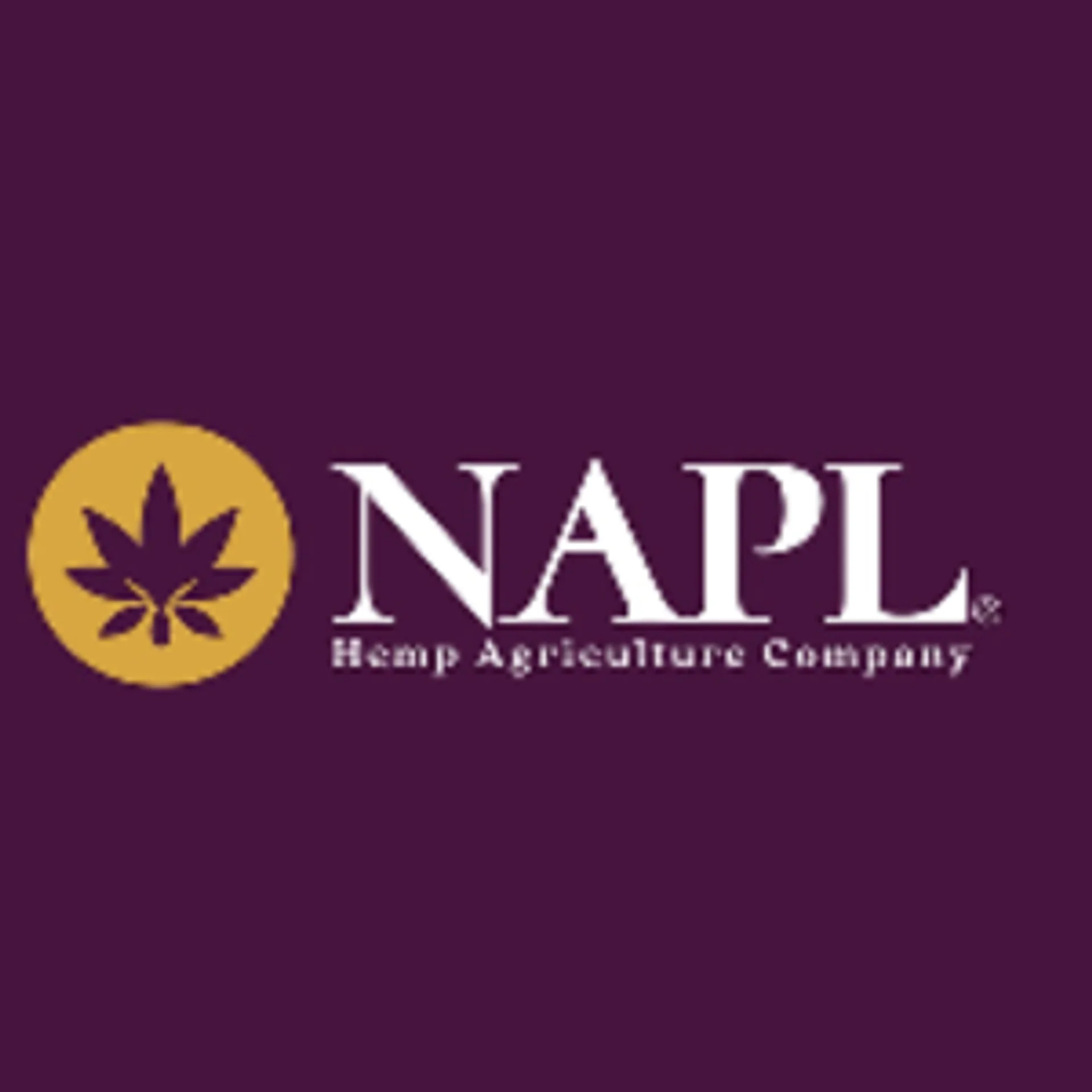 Niche Agriculture And Pharmaceuticals Limited
