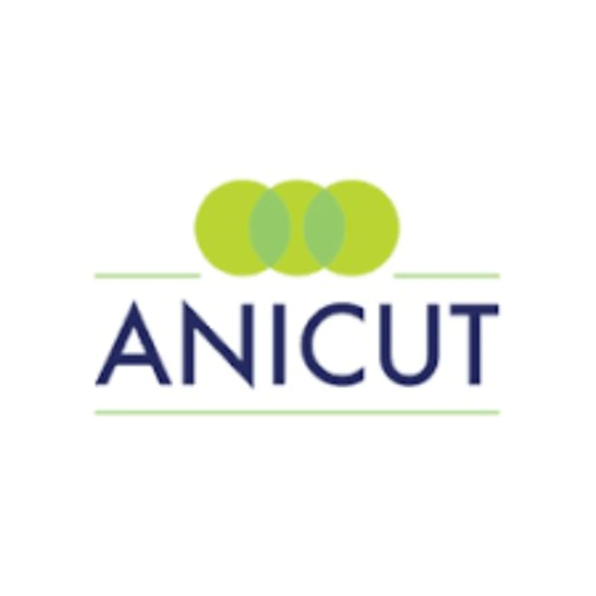 Anicut Capital