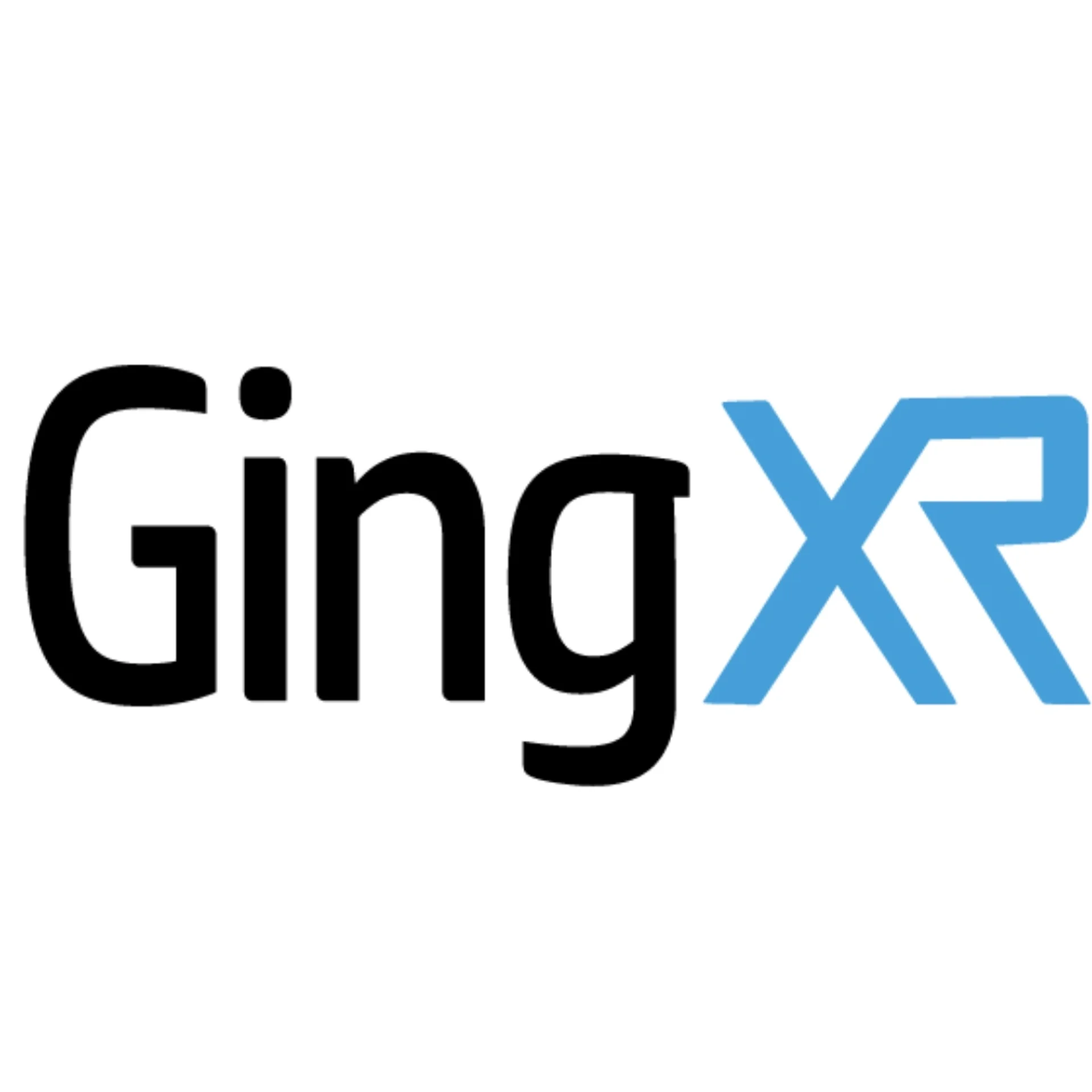 GingXR