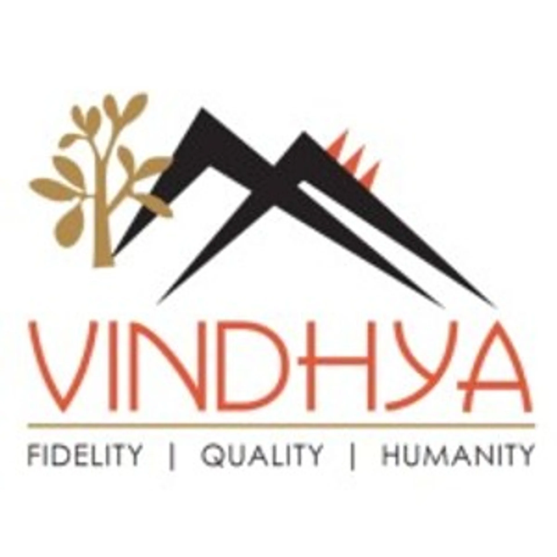 Vindhya e infomedia